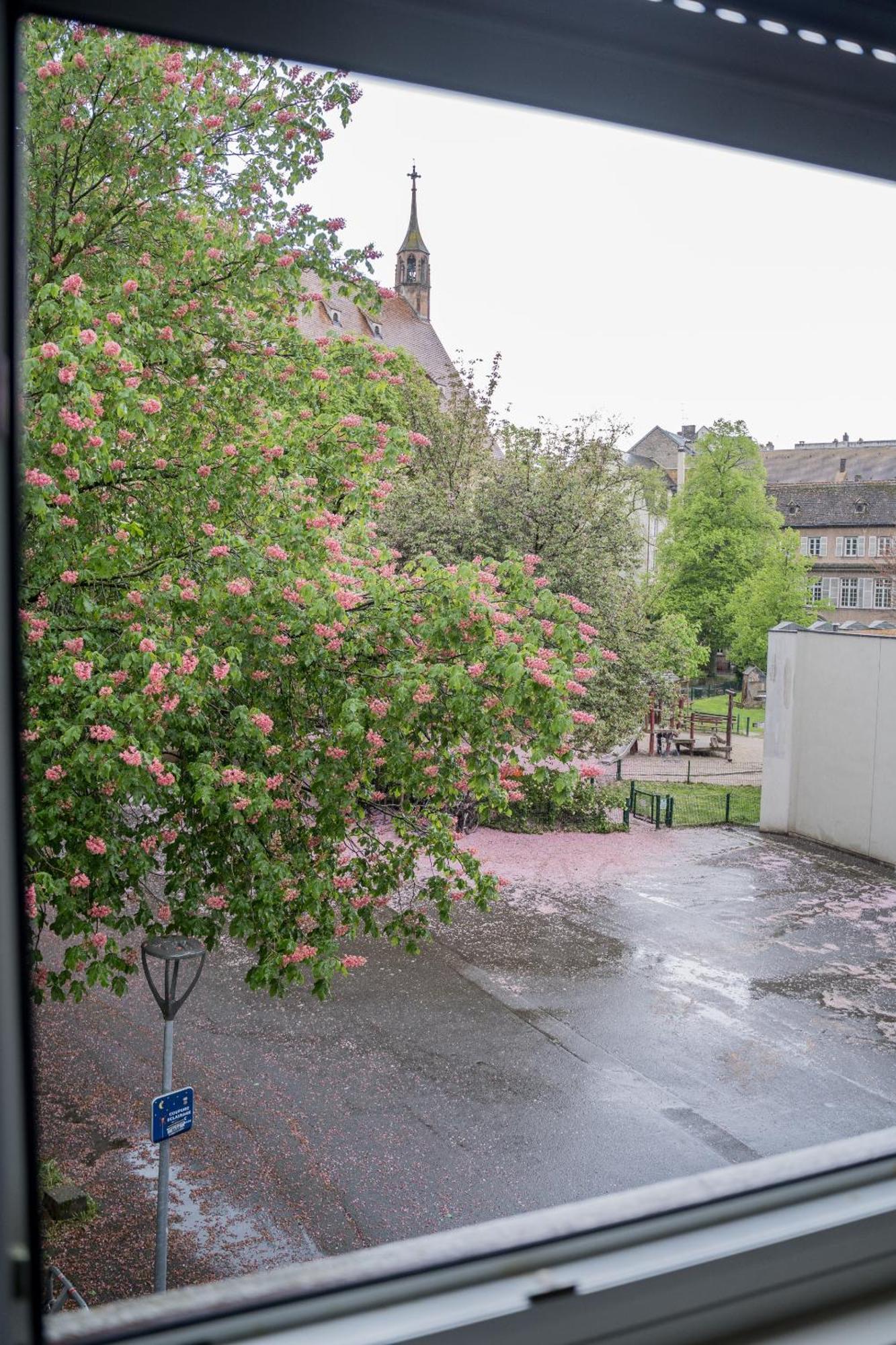 Ferienwohnung Le Gabriel Straßburg Exterior foto